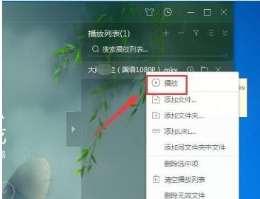 爱奇艺万能播放器官方免费下载-电脑版下载-v9.5.8