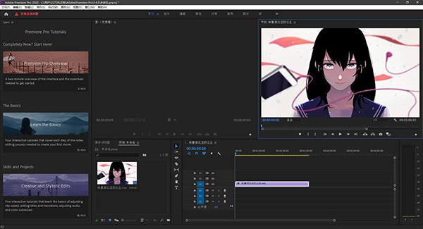 Adobe premiere Pro 2020
