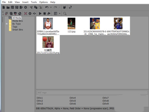 VEGAS Pro 14官方版下载