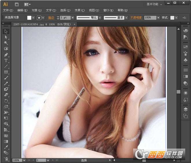 Adobe illustrator cs6专业版