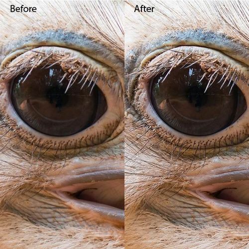 photoshop CC