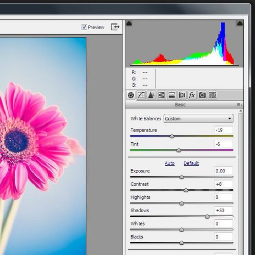 调图利器！Adobe Camera Raw
