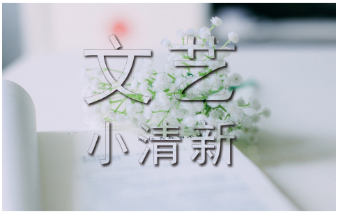 coreldraw x4绿色中文增强版