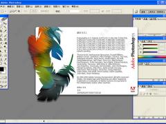Photoshop CS8.01下载 精简汉化绿色版