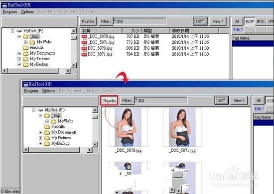 ExifTool下载_exiftool中文版v11.31中文绿色版