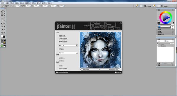Corel painter 11官方绿色版