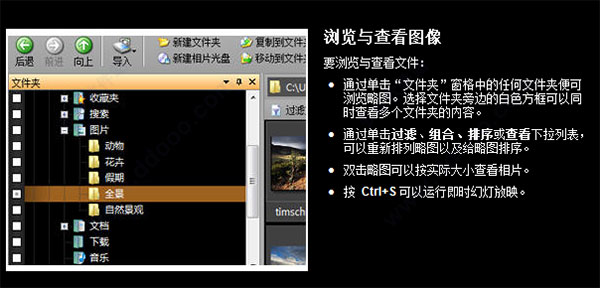 ACDSee Pro 4.0
