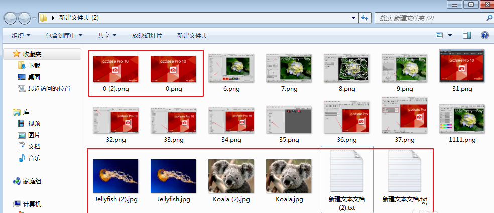 ACDSee2020绿色版