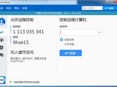 官网下载TeamViewer便携版 14.6.2452.0