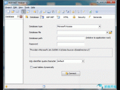 ASP.NET Maker v2020.0.4.1绿色破解版