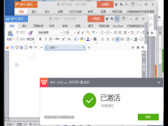 WPS office 2019 破解版下载