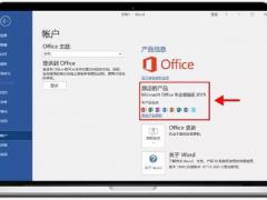 Microsoft office 365个人版 绿色破解版