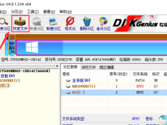 DiskGenius专业版 v5.1.2.766免费版