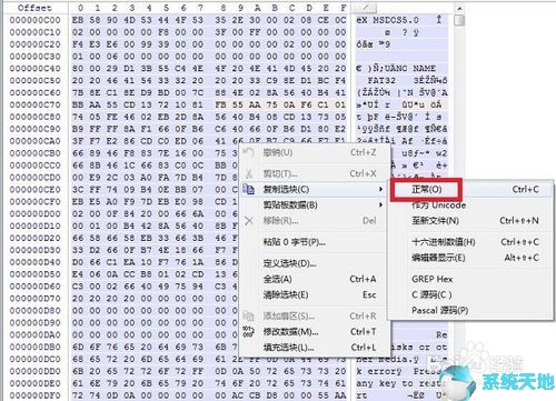 WinHex 19.8 正式版最新下载