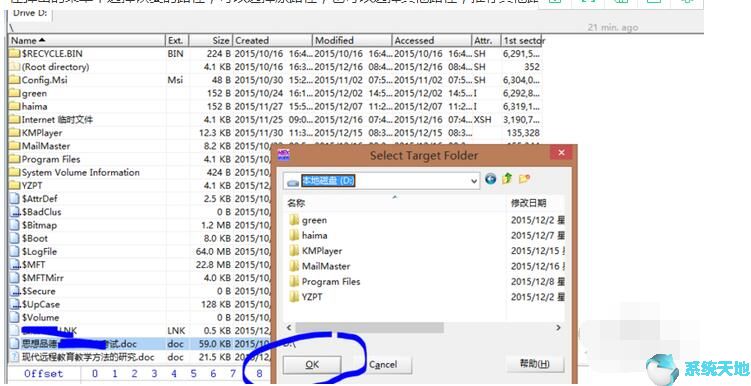 WinHex 19.8 绿色中文版