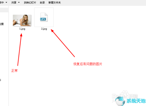WinHex 19.8 正式版最新下载