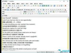 UltraEdit(文本编辑器)免费正式版下载