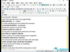 EmEditor Professionalv官方免费版下载