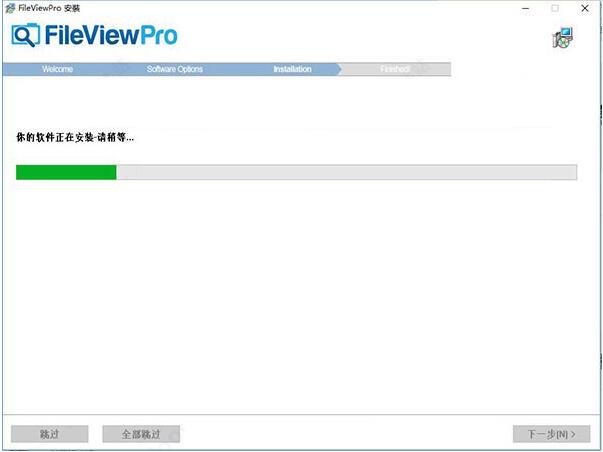 FileViewPro安装方法