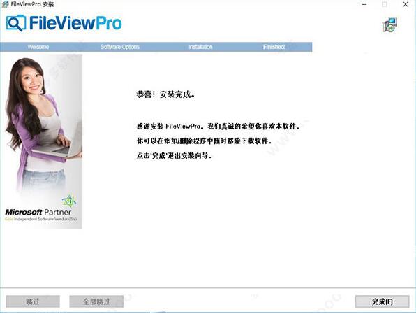 FileViewPro安装方法