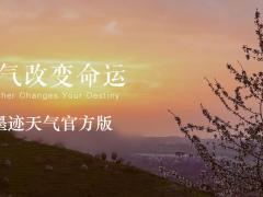 墨迹天气  v2.2.1.1正式版