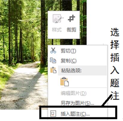 系统之家WIN7下如何让office2013实现图片自动编号1.jpg