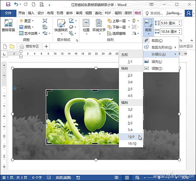 Word P图1