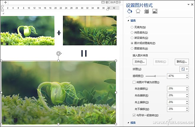 Word P图8