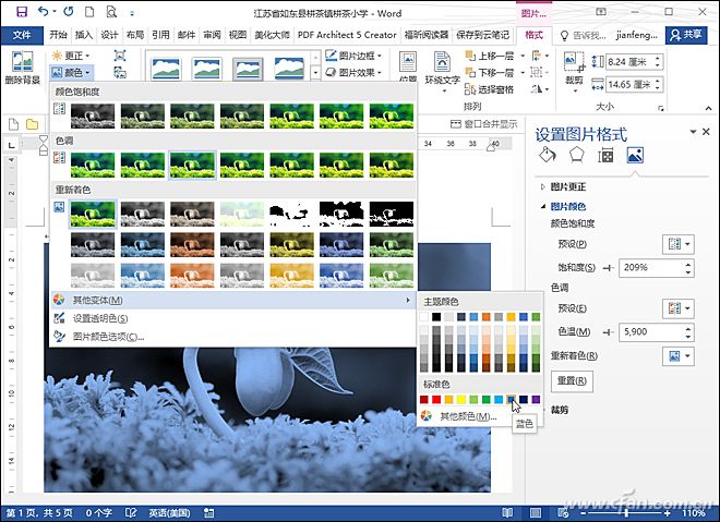 Word P图4