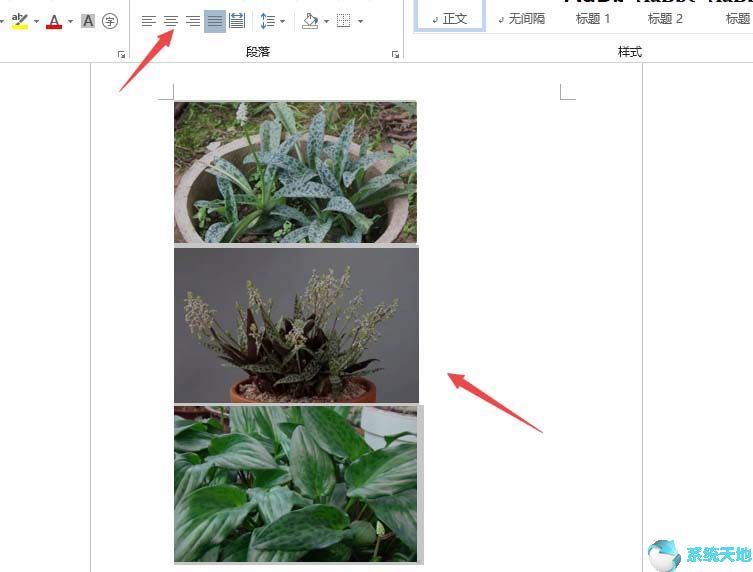 Word2019批量设置图片居中显示方法