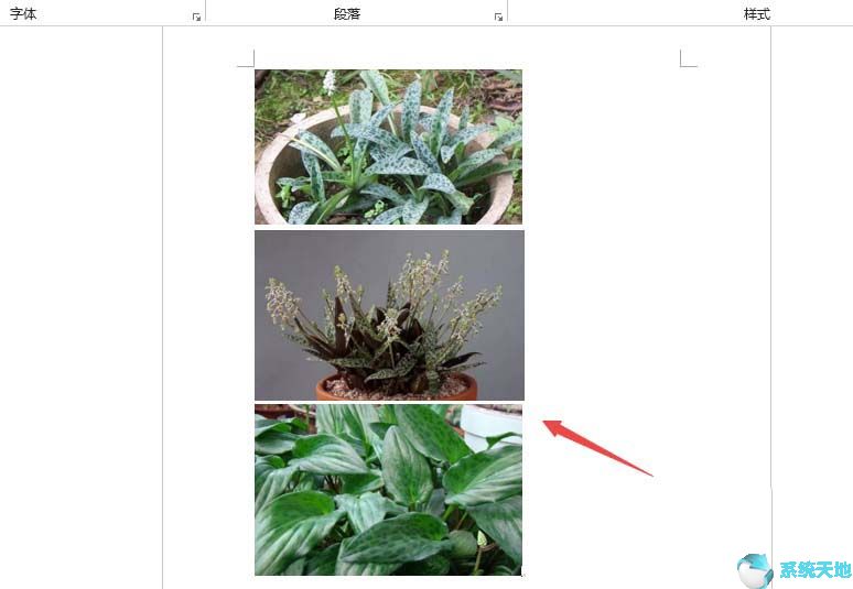 Word2019批量设置图片居中显示方法