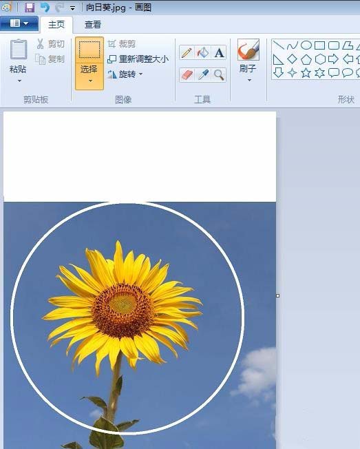 自带的画图软件制作圆形头像的方法
