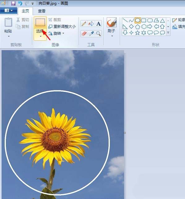 自带的画图软件制作圆形头像的方法
