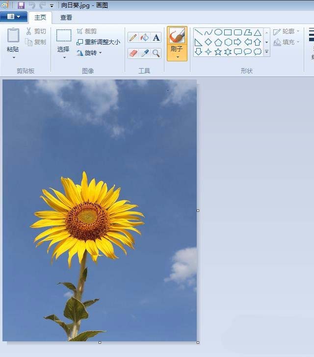 自带的画图软件制作圆形头像的方法