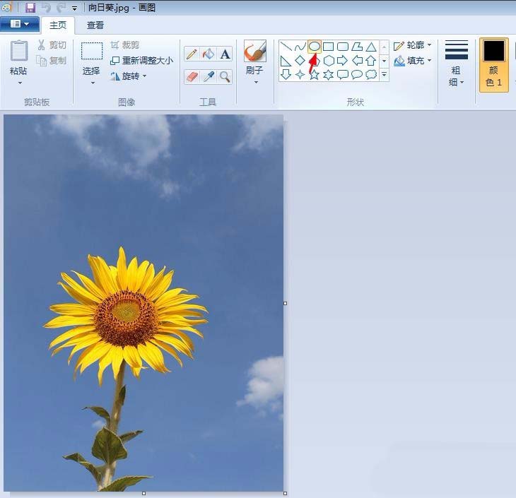 自带的画图软件制作圆形头像的方法