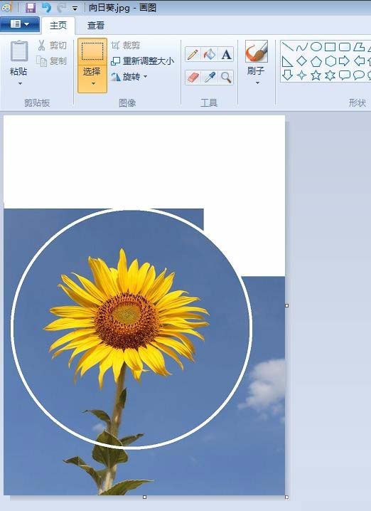 自带的画图软件制作圆形头像的方法