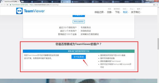 TeamViewer正版多少钱