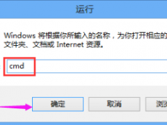 Win10浏览器无法打开!
