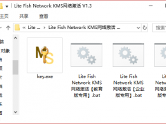 Win10激活工具Lite Fish Network KMS网络激活V1.3正式版下载