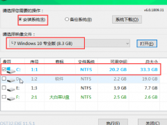 如何使用大白菜U盘重装Windows10系统？