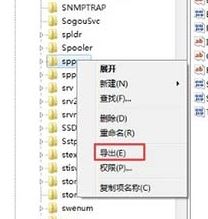 windows7系统下software protection无法启动