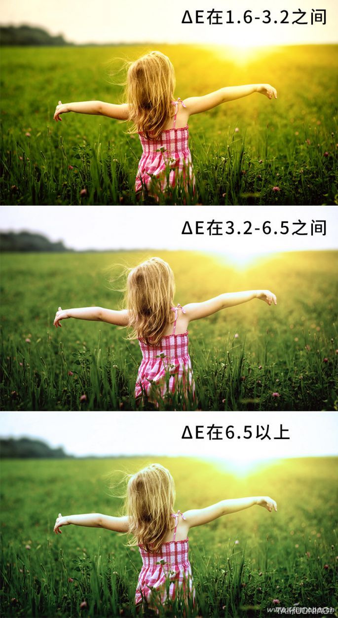 怎么挑显示器？色差（也叫色准）很重要4