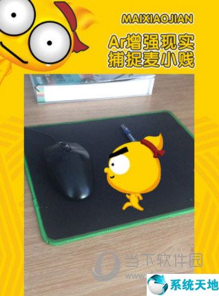麦小贱