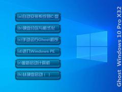系统之家 Win10专业版 32位_17763.316下载