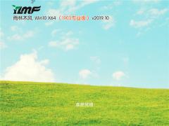 雨林木风 Win10专业版 32位 V201910_正版\\稳定