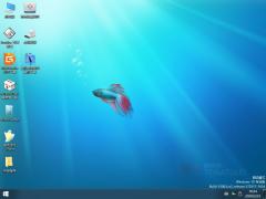 番茄花园Win10 1909 专业装机版 32位ISO镜像2020.07
