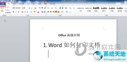 word2010