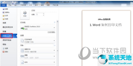 word2010