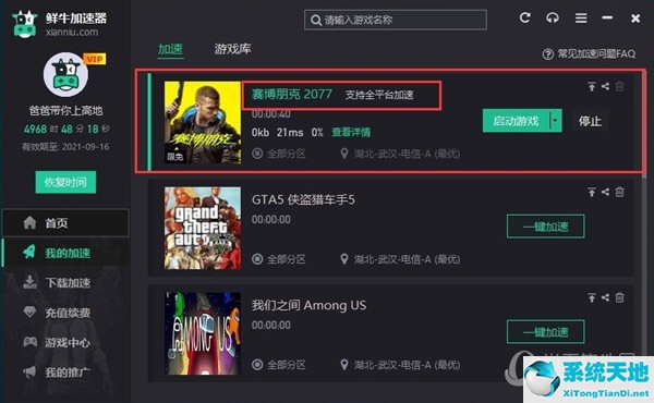 鲜牛加速器