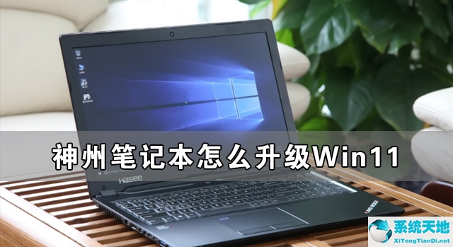 神州笔记本怎么升级Win11